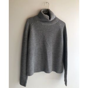 Banana Republic 100% Merino Wool Turtleneck